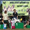 zielona gra 2010 bis szczeniat